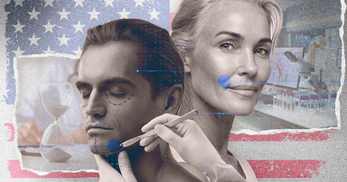 Cryogénie, cellules souches, IA : dans la Silicon Valley, le mouvement vitaliste veut faire de la vieillesse une maladie