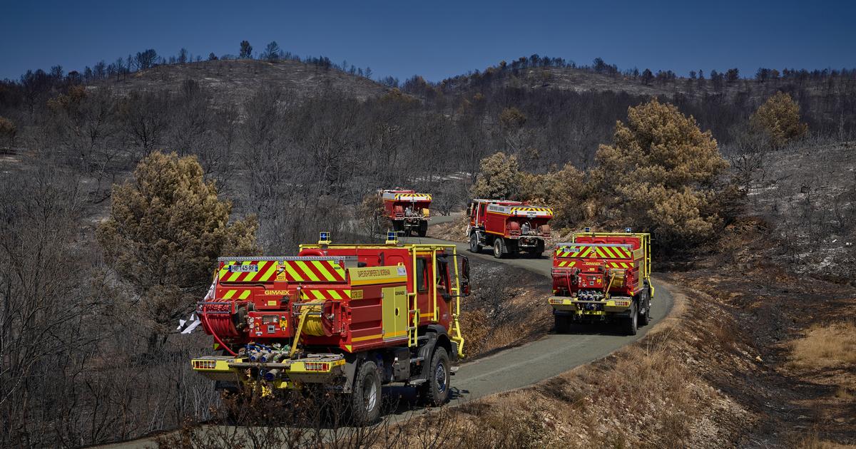 Vague de chaleur : de quels moyens la France dispose-t-elle pour lutter contre les incendies ?