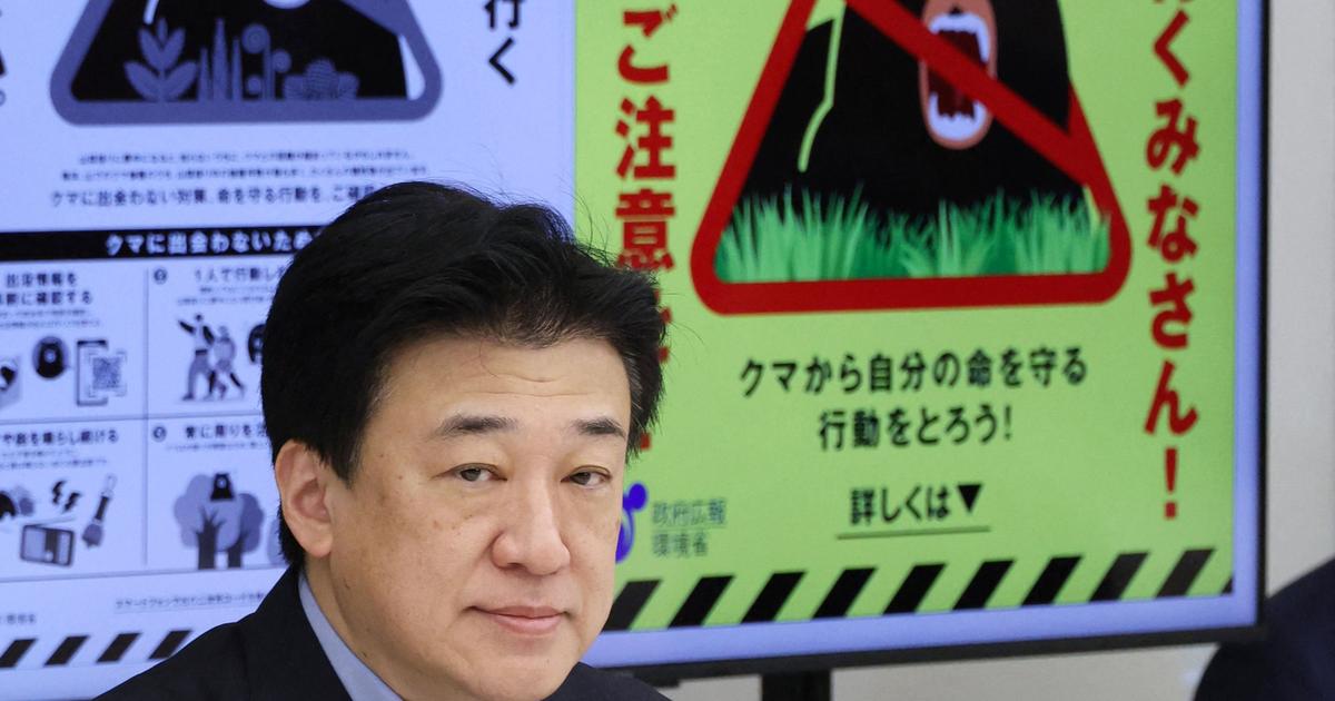 Attaques, accidents, intrusions... Comment l’ours est devenu l’ennemi public numéro 1 au Japon