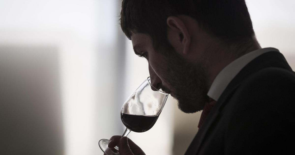 Vin désalcoolisé, baisse de la consommation... Comment former les nouveaux sommeliers à lheure du sans alcool ?