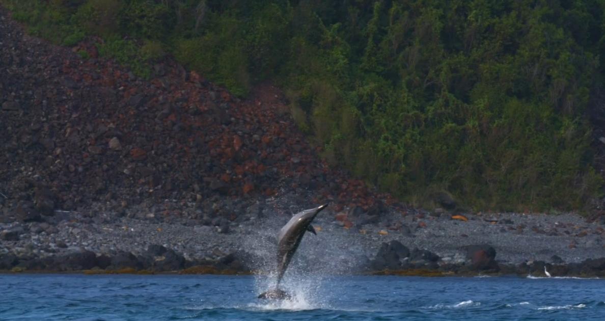 « Thalassa, aventures extrêmes » (France 5) : cap sur le Brésil