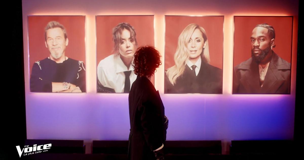 Mécanique trop complexe, candidats trop nombreux, incompréhensions... Pourquoi «The Voice» doit revoir sa copie