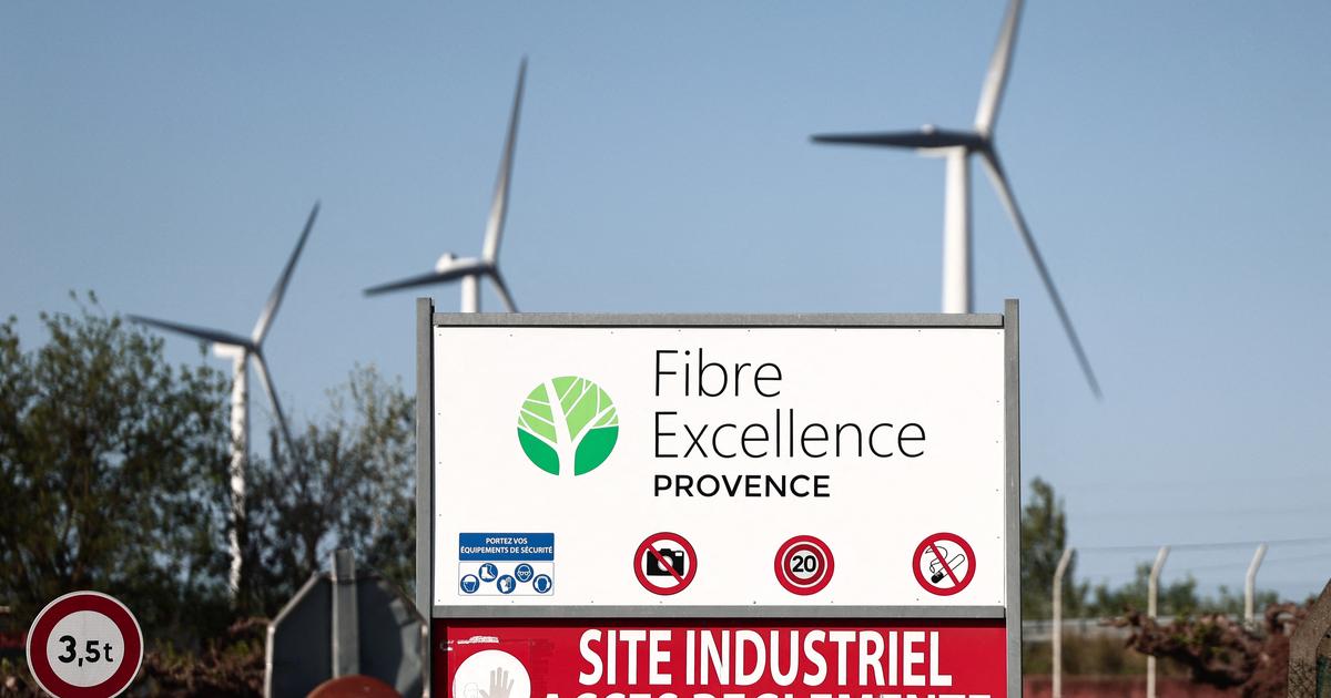 Une offre de reprise du papetier Fibre Excellence a été déposée par des dirigeants du groupe