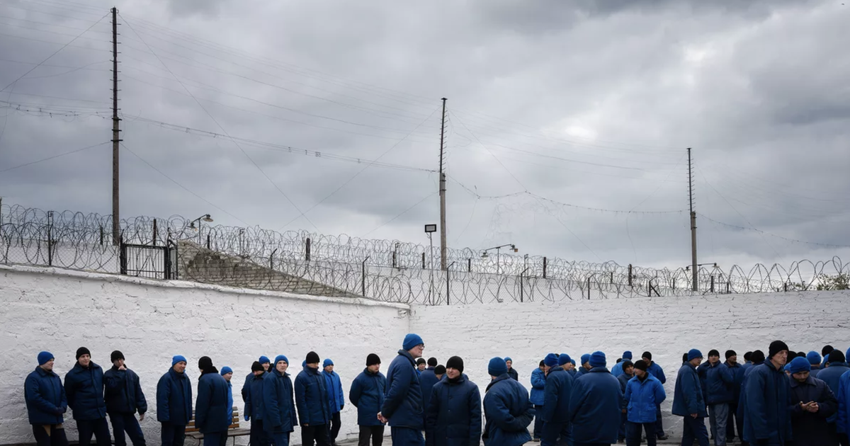 Victims or Volunteers? The Gray Zone of Foreigner Soldiers Fighting for Putin