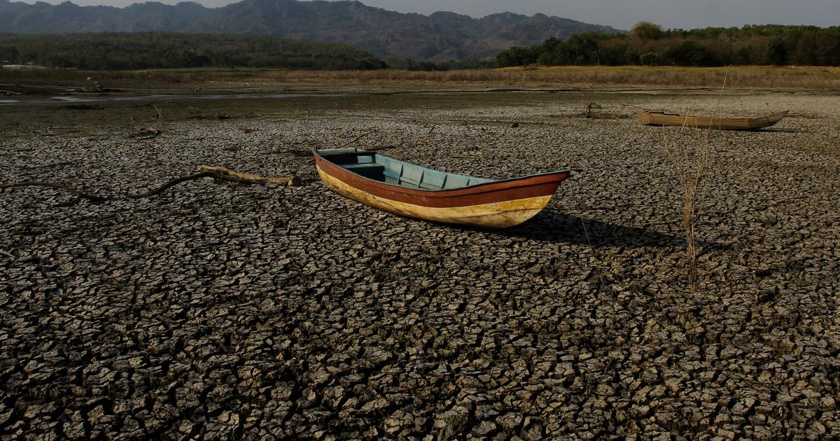 « De l’huile sur le feu d’une planète qui se réchauffe » : le phénomène El Niño, l’enfant terrible du climat qui pourrait faire son retour cet été