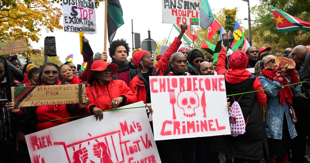 Antilles : le Parlement entérine une loi reconnaissant la «part de responsabilité» de l’État dans le scandale du chlordécone