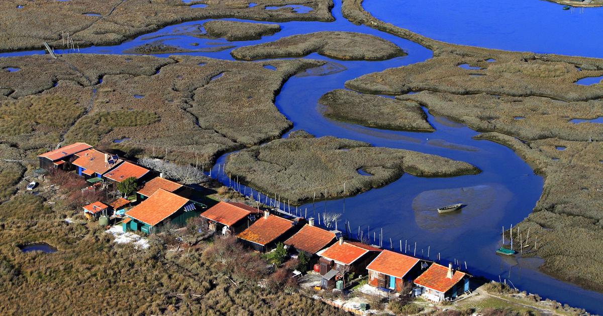Une cabane du Bassin d'Arcachon est ouverte aux candidatures