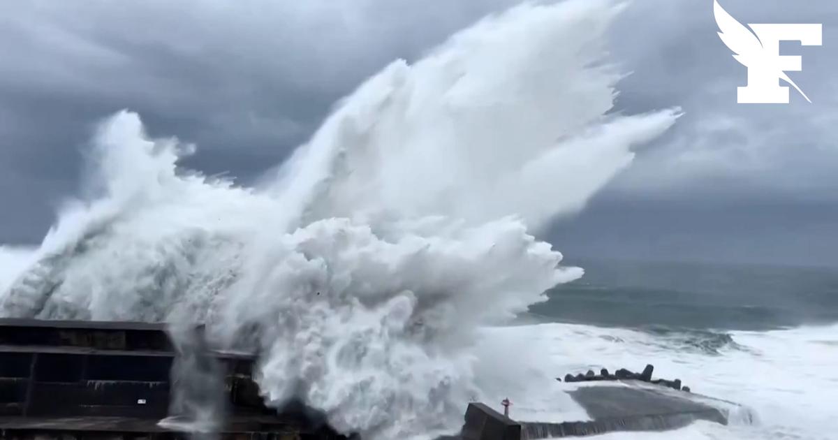 Typhon Jangmi au Japon : les images des vagues spectaculaires au sud de Tokyo