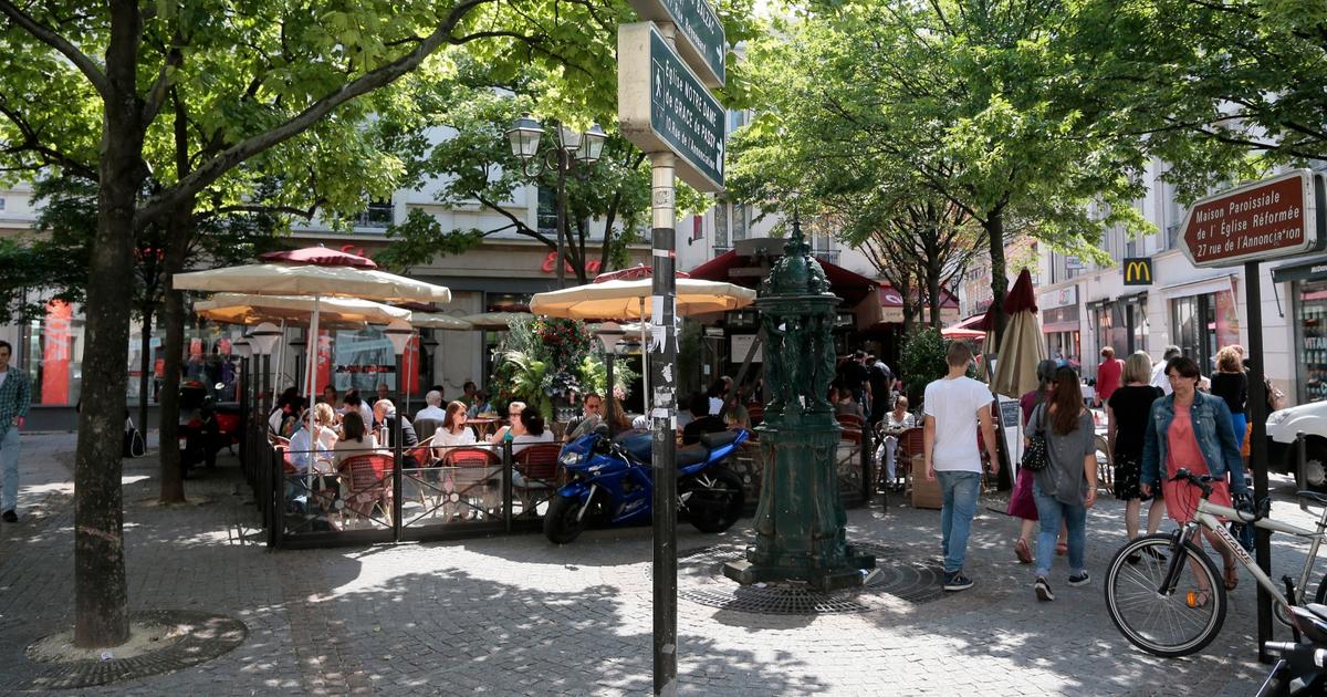 «La Mairie de Paris devrait chercher à conserver l’espace public plutôt qu’à le déstructurer sous couvert d’idéologie»