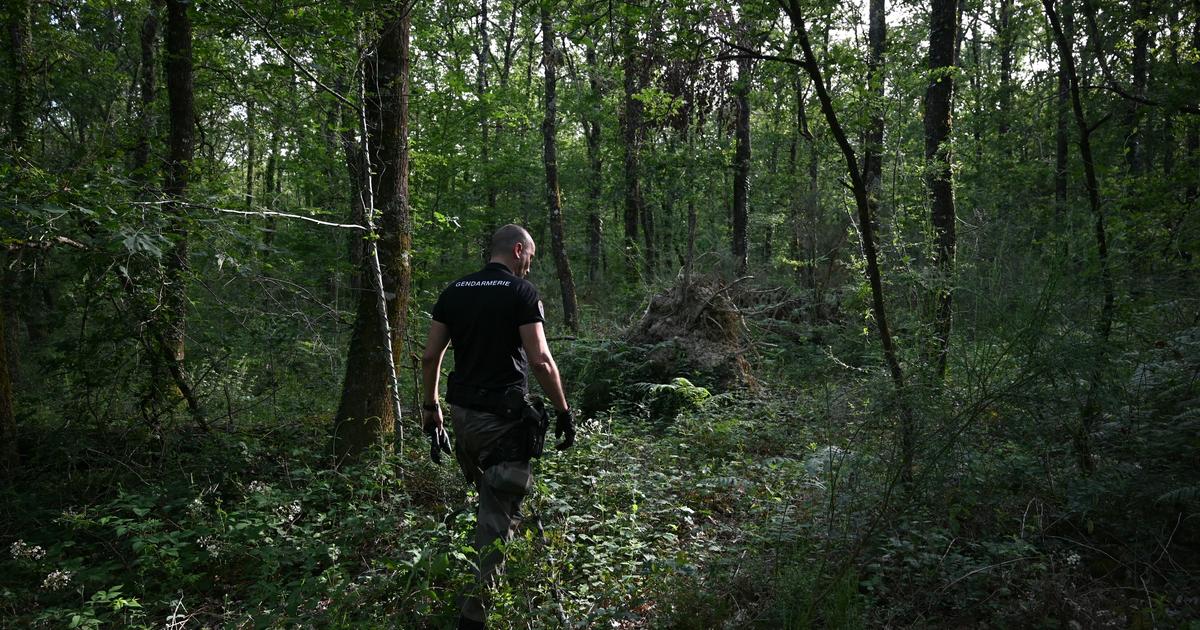 Disparition de Lyhanna : ce que l’on sait du corps découvert dans le Gers