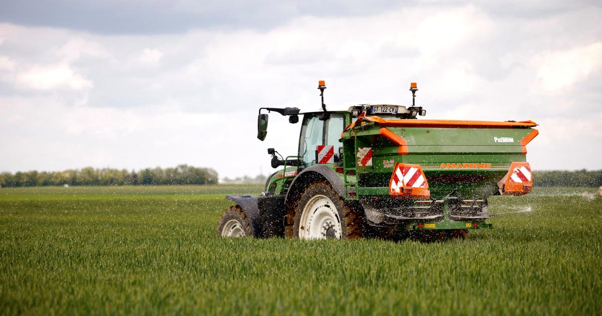 «Personne ne veut travailler 70 heures par semaine pour gagner le smic» : Le renouvellement des générations, enjeu majeur pour les Jeunes agriculteurs