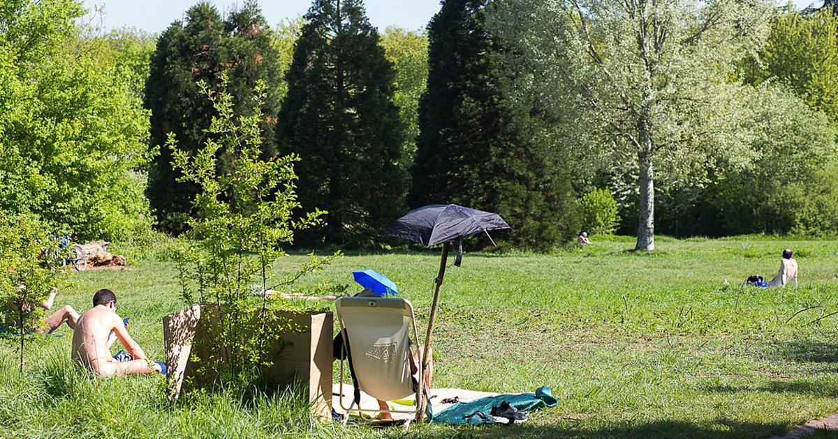 «Tout le monde était à poil, j’ai suivi» : au bois de Vincennes à Paris, un lieu de retrouvailles pour les adeptes du nu intégral