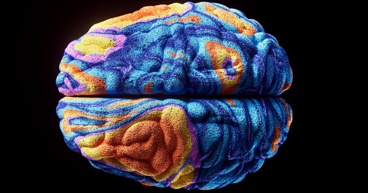 «À 65 ans, leur cerveau s’est remis à grossir» : la méthode des 3 S du neuroscientifique Tommy Wood