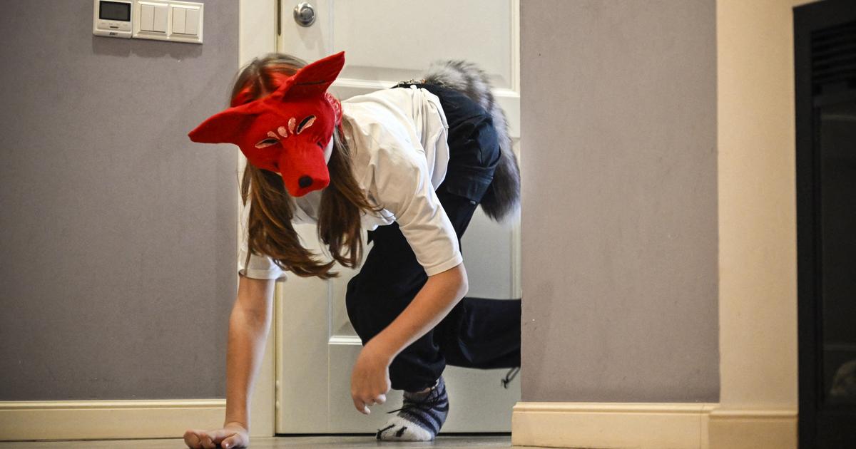 Ils se disent loups, chats ou renards : plongée chez les «thérians», ces jeunes qui ne se sentent pas tout à fait humains