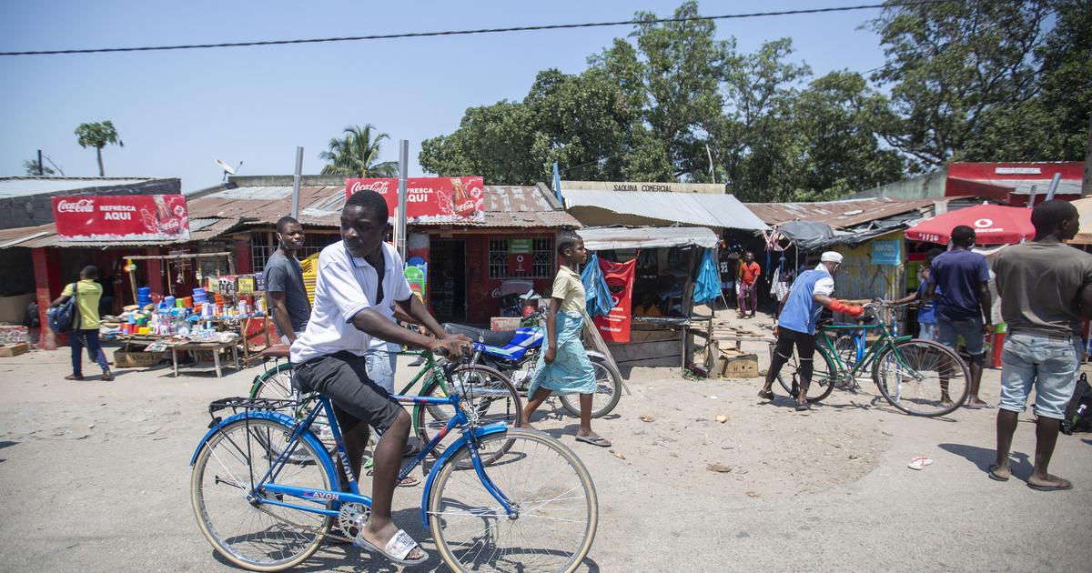 Mozambique : un évêque catholique tué d’une balle «à la poitrine, au cœur», selon la police