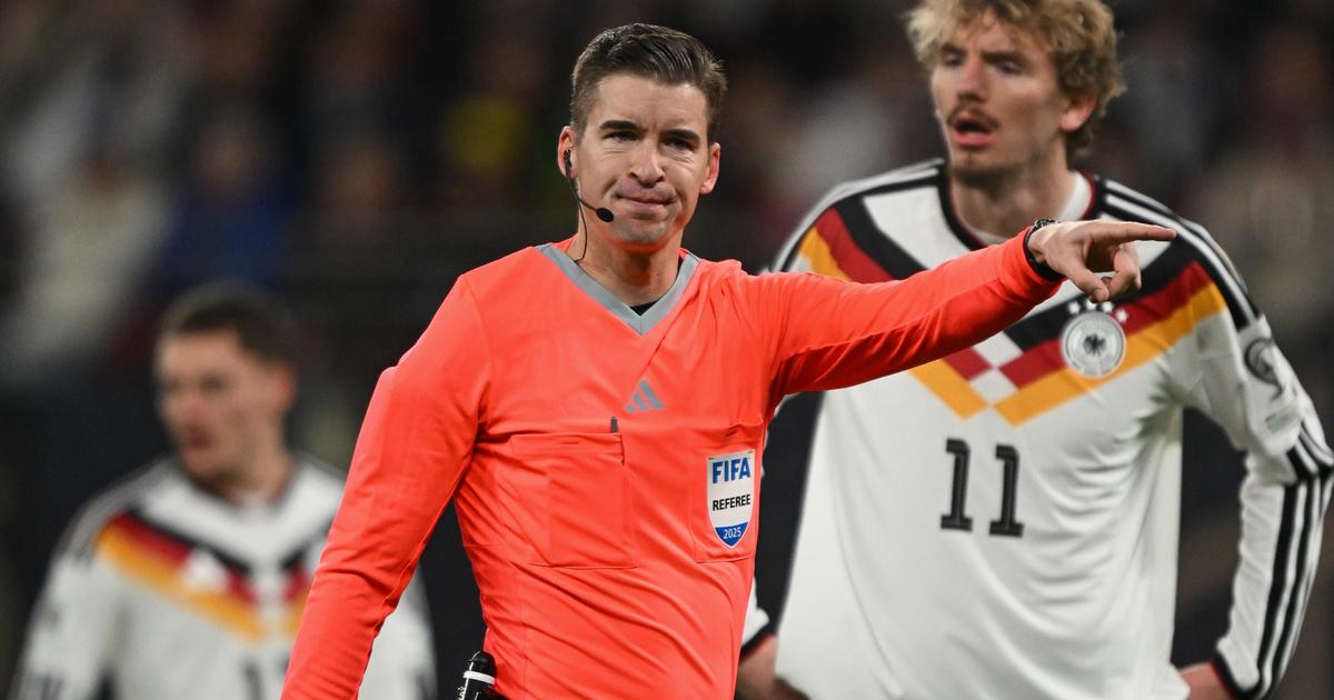 Crainte de la chaleur, «âme patriote», pas peur des polémiques... Les arbitres, ces autres Français acteurs de la Coupe du monde
