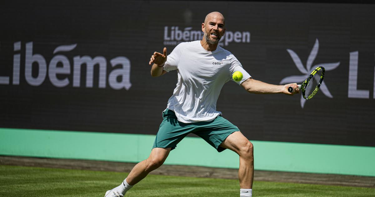 Tennis : Mannarino reverdit à Bois-le-Duc et rejoint Rinderknech en huitièmes de finale