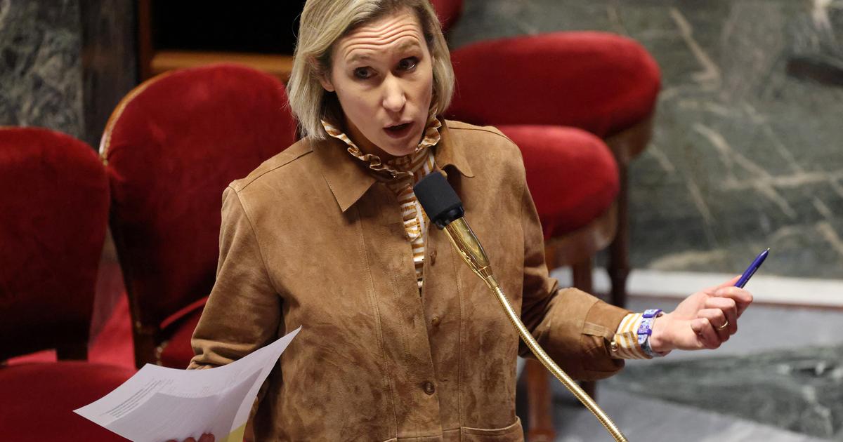 Affaire Lyhanna : une députée Renaissance exprime sa «honte» devant «l’image» que l’Assemblée donne