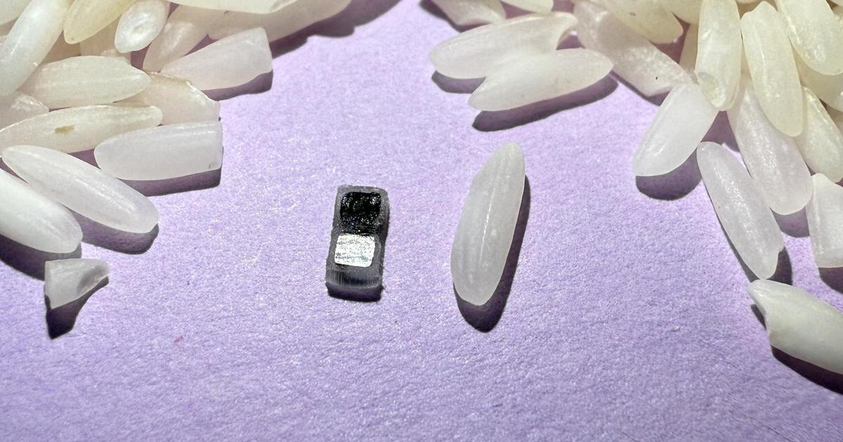 Bientôt aussi petits qu’un grain de riz : des pacemakers de plus en plus miniaturisés