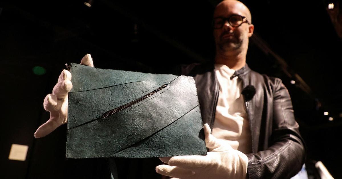 Un sac reconstitué à partir de cellules de T-Rex ne parvient pas à se vendre lors de sa mise aux enchères à Paris