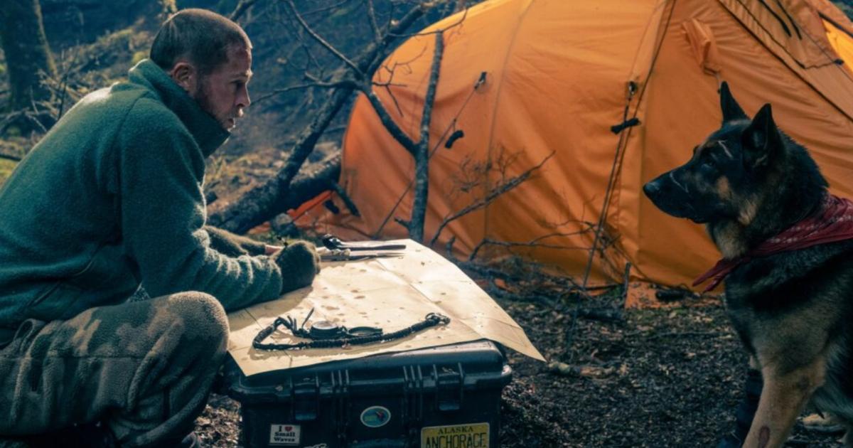 Brad Pitt et son chien perdus en Alaska dans la bande-annonce de Heart of the Beast