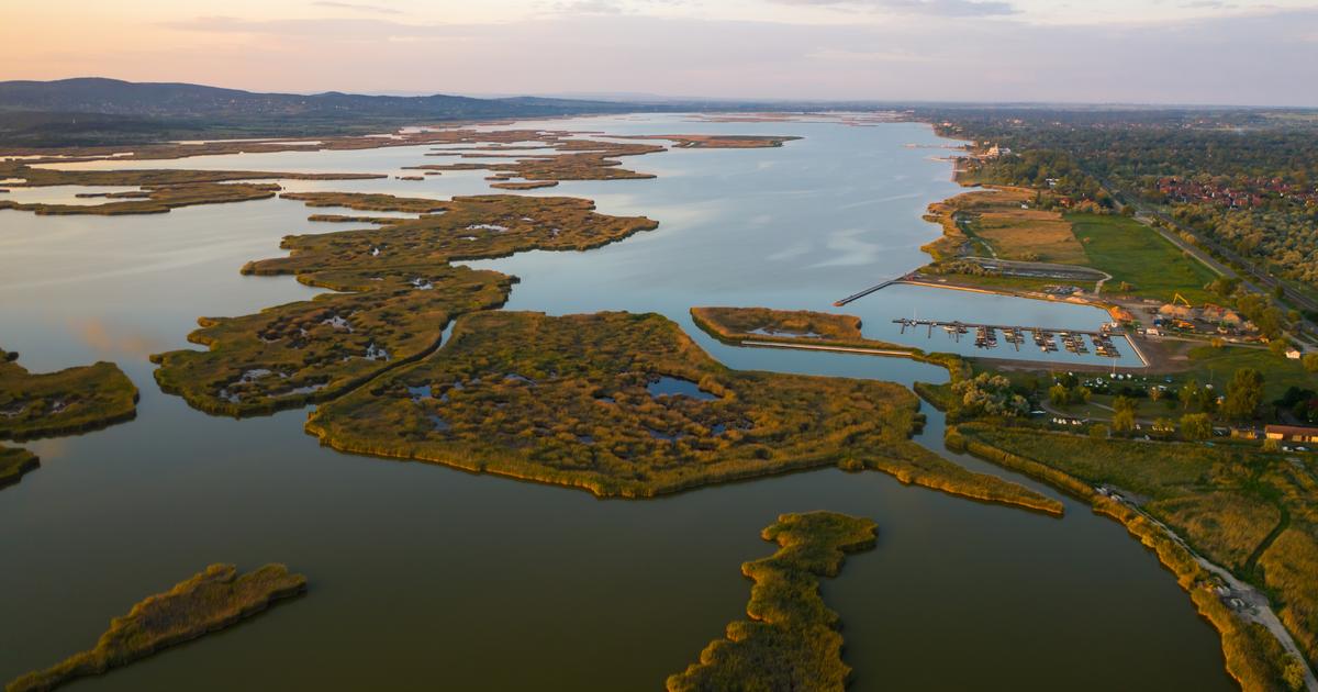 «Un niveau historiquement bas» : ce lac aux portes de Budapest se vide progressivement