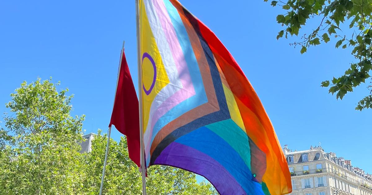Immersion dans la «pride radicale», ce fourre-tout des luttes d’extrême gauche qui fait du mal-être une arme politique