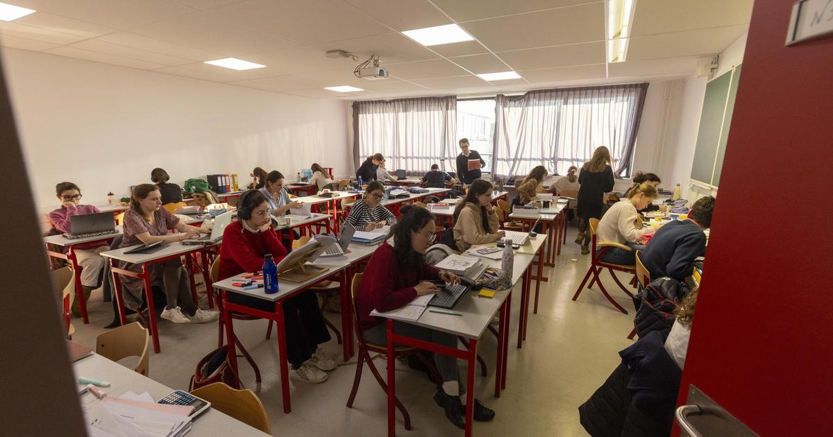 «Pour sauver le latin et le grec, rétablissons les points bonus au bac !»