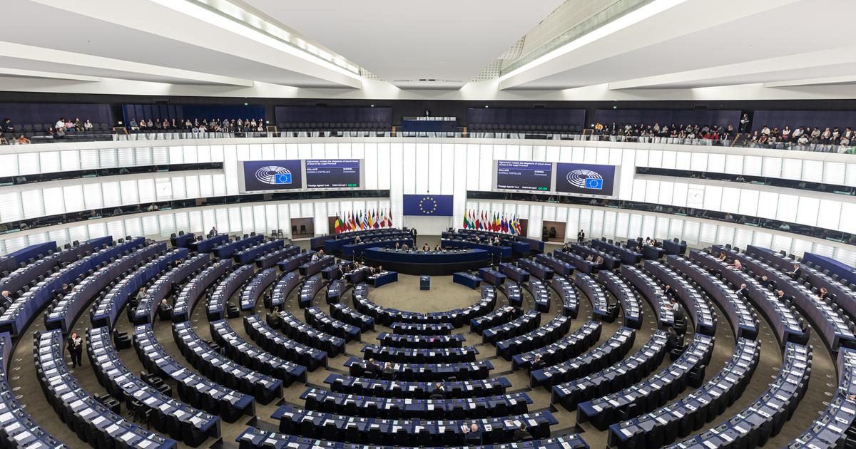 Le Parlement européen approuve l'interdiction de l'appellation «steak végétal»