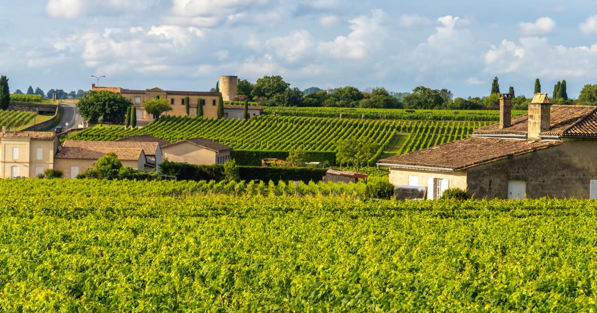 «On est au prix dil y a 10 ans» : découvrez les 12 vins de Bordeaux en primeur déjà épuisés chez les négociants et sur lesquels miser