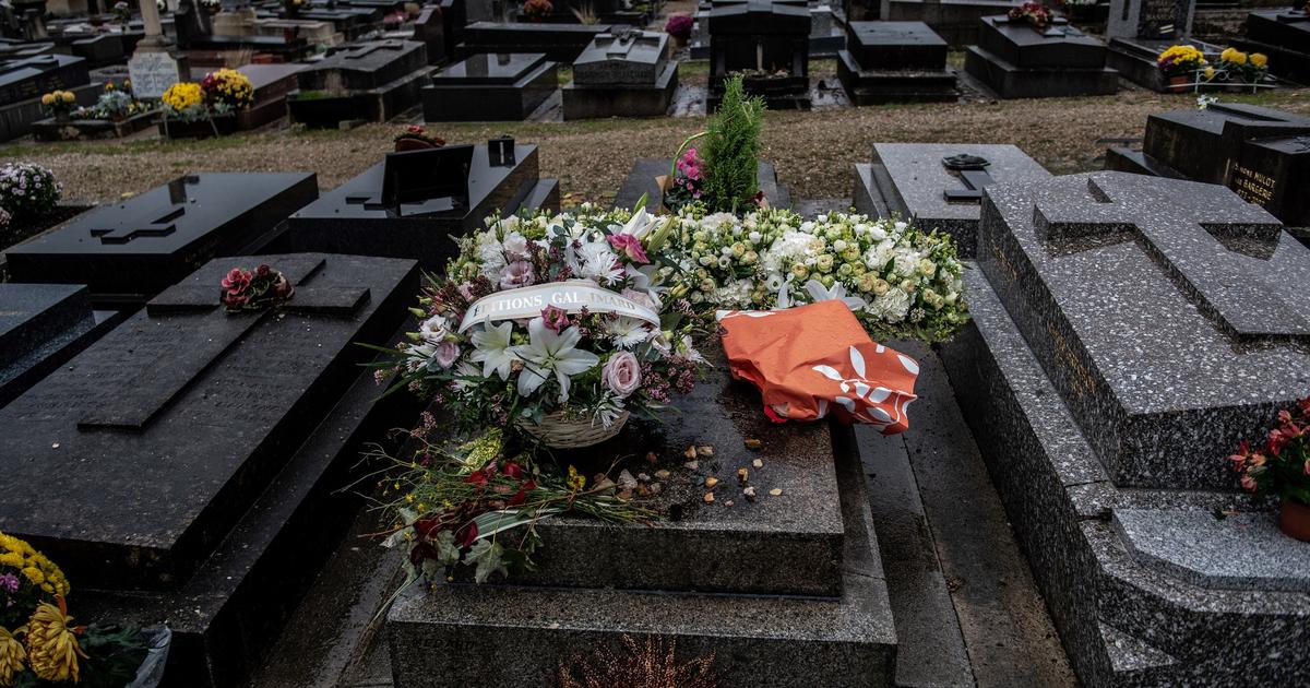«Avant, c’était plutôt mortel...» : à Meudon, le cimetière végétalisé comme îlot de fraîcheur