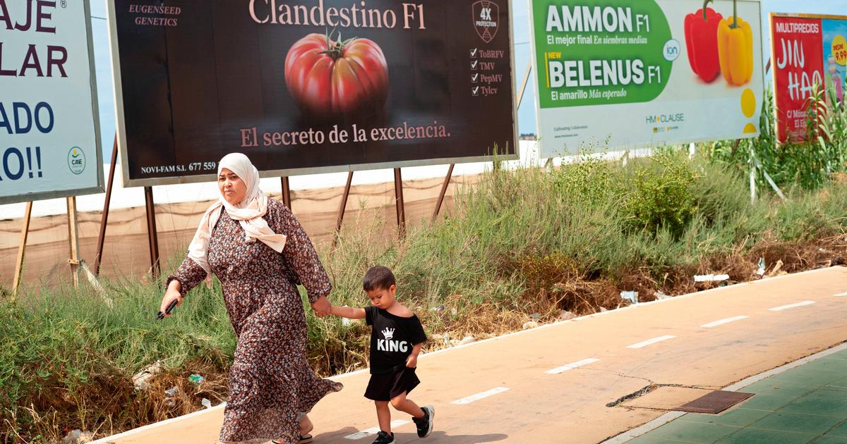 «Sánchez brade ce que nous avons de plus précieux, notre nationalité» : reportage dans une Espagne divisée sur la campagne de régularisation de 500.000 étrangers
