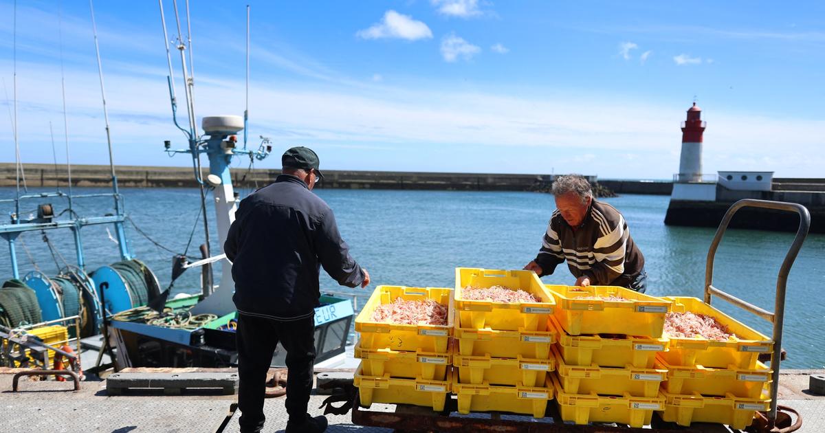«Renouvellement de la flotte», «gestion des ressources»... Les pêcheurs réunis à Cherbourg pour leurs assises annuelles