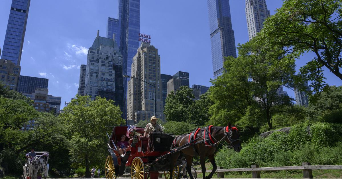New York : un jeune homme meurt dans un accident de calèche à Central Park