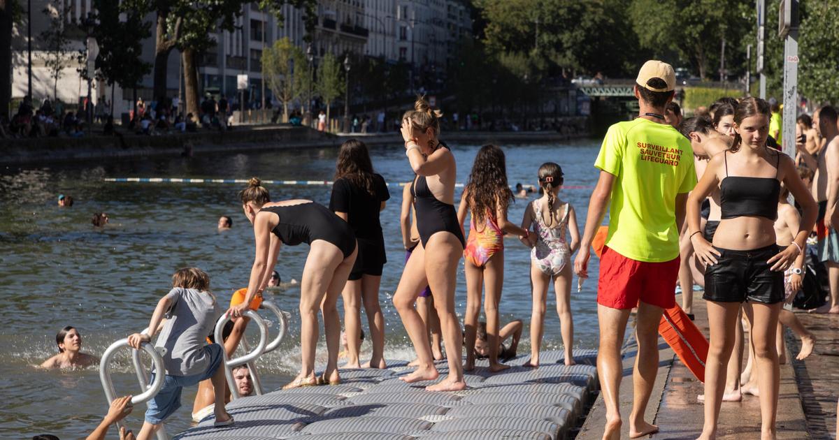 Fleuves, canaux, rivières... De Paris à Lyon, les villes au défi de la baignade au cœur des centres urbains