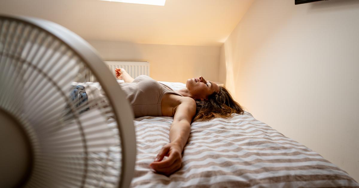 Canicule : l’année 2026 prolongera-t-elle la série des étés records ?