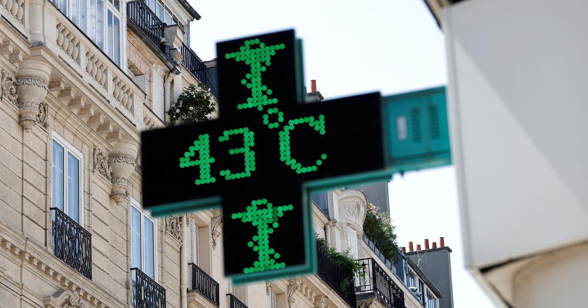 Canicule : un épisode comparable à 2003, 40°C attendus... Vers des records de températures en France