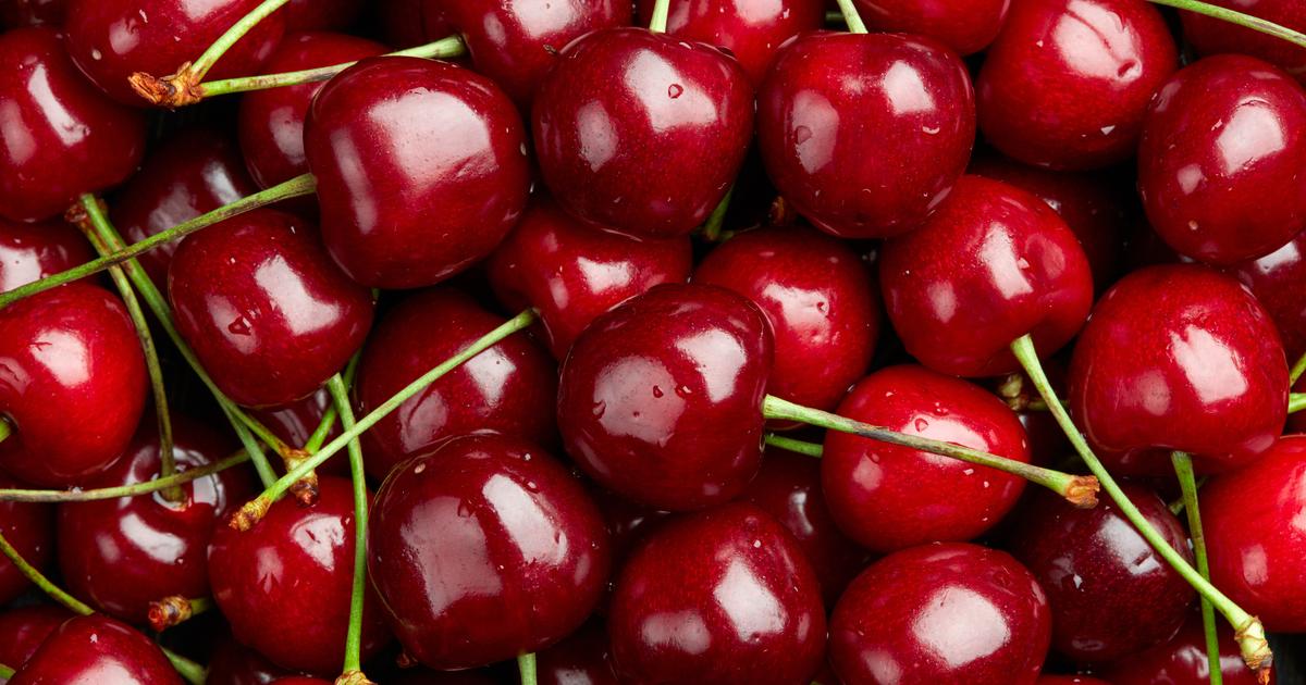 «Une consommation très timide» : les arboriculteurs confrontés à l’urgence de vendre leurs cerises