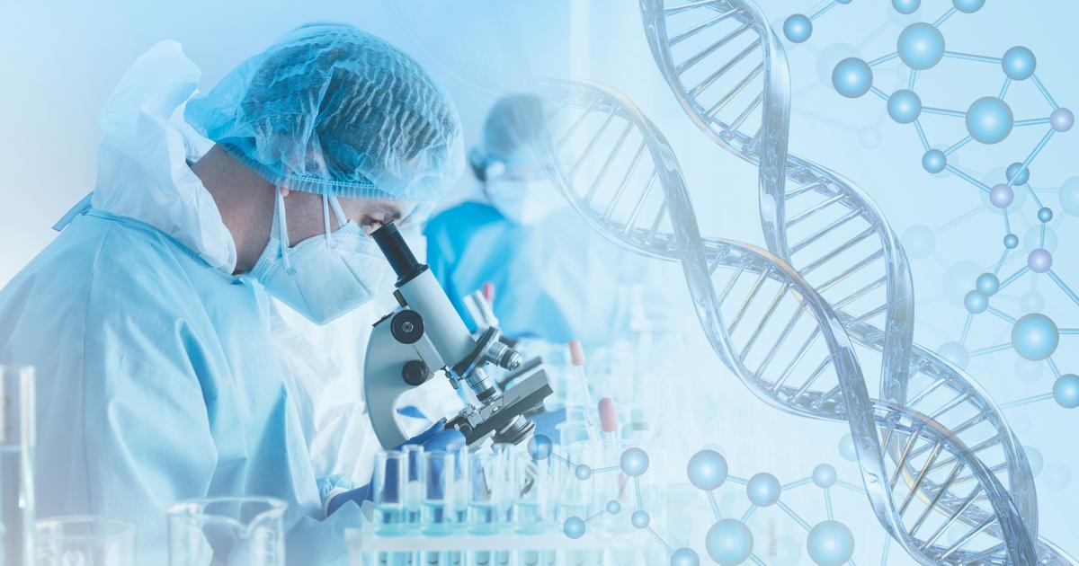 Quel est l’âge réel de vos organes ?