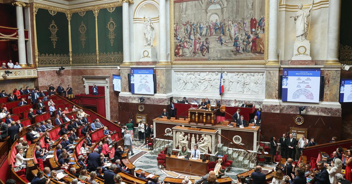 «La loi sur l’euthanasie fragiliserait le devoir de soignant» : l’appel de médecins avant le vote des députés