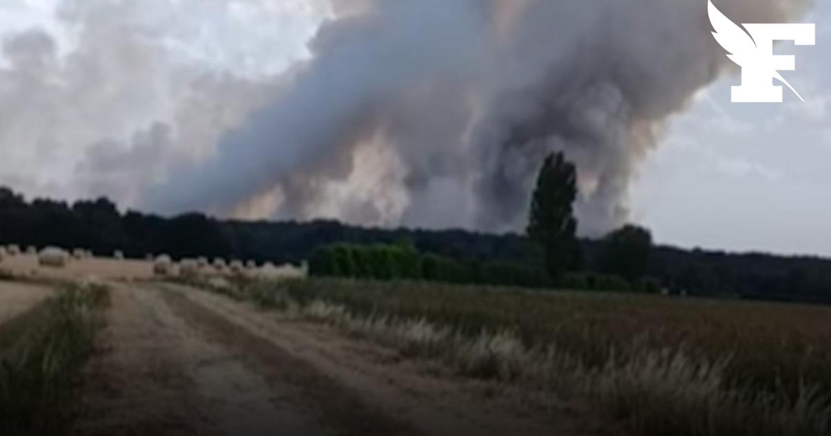 Maine-et-Loire : les premières images des feux de forêt qui ont déjà ...