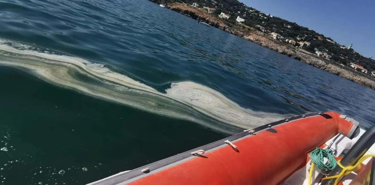 Sète : trois plages interdites à la baignade après une pollution en mer