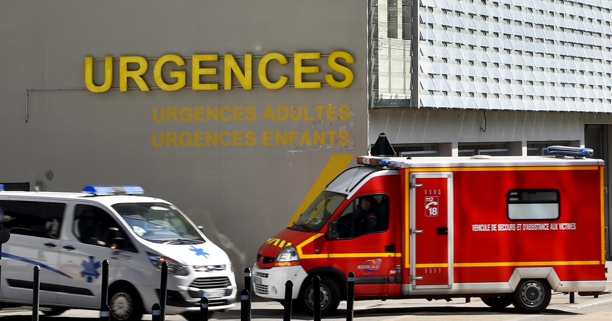 EN DIRECT - Canicule : la mortalité en hausse à Paris, selon le maire Emmanuel Grégoire, qui appelle «solennellement» à la prudence