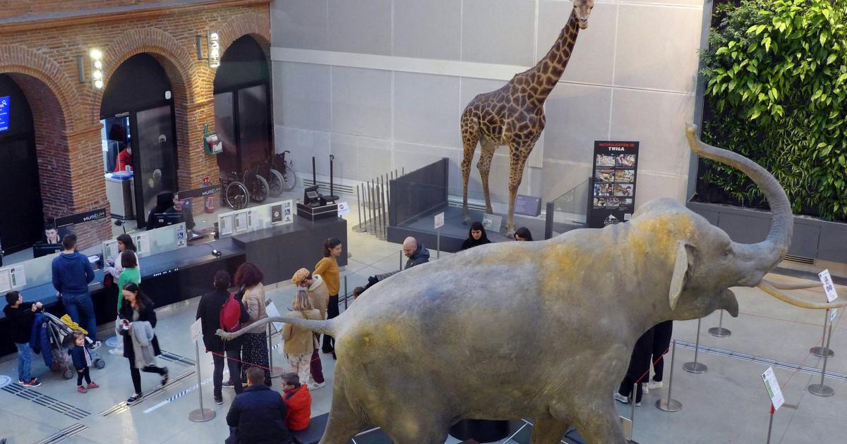 Heatwave: the Toulouse Museum temporarily closed due to air conditioning failure