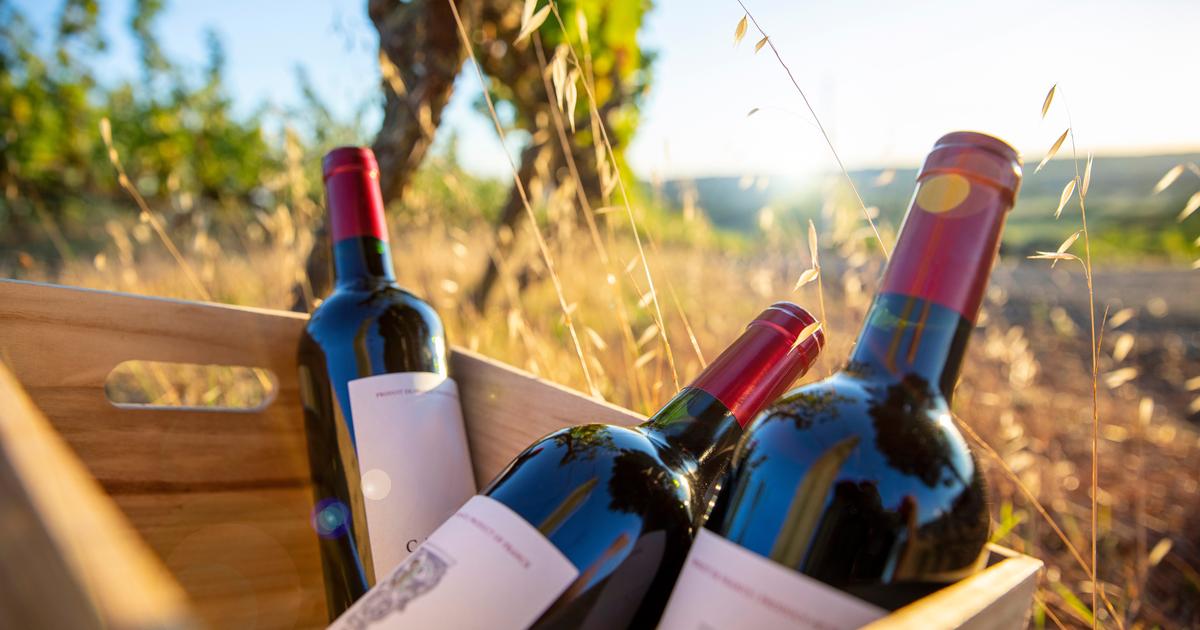 Primeurs : ces 15 vins délicieux dappellations peu connues qui rivalisent avec les bordeaux plus prestigieux