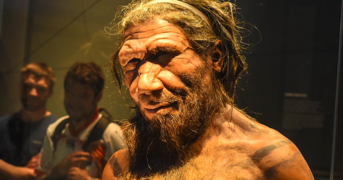 En Europe, il n’y a pas de signe d’hybridation entre Néandertal et nos ancêtres «Homo sapiens»