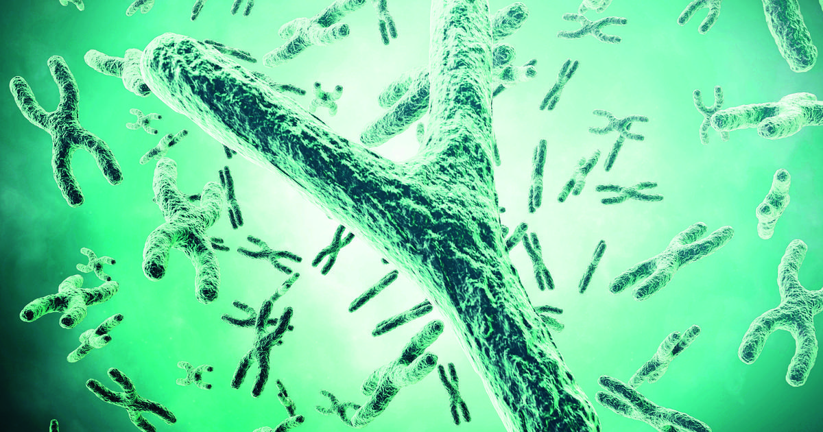 Pourquoi la santé des hommes est aussi une affaire de chromosomes