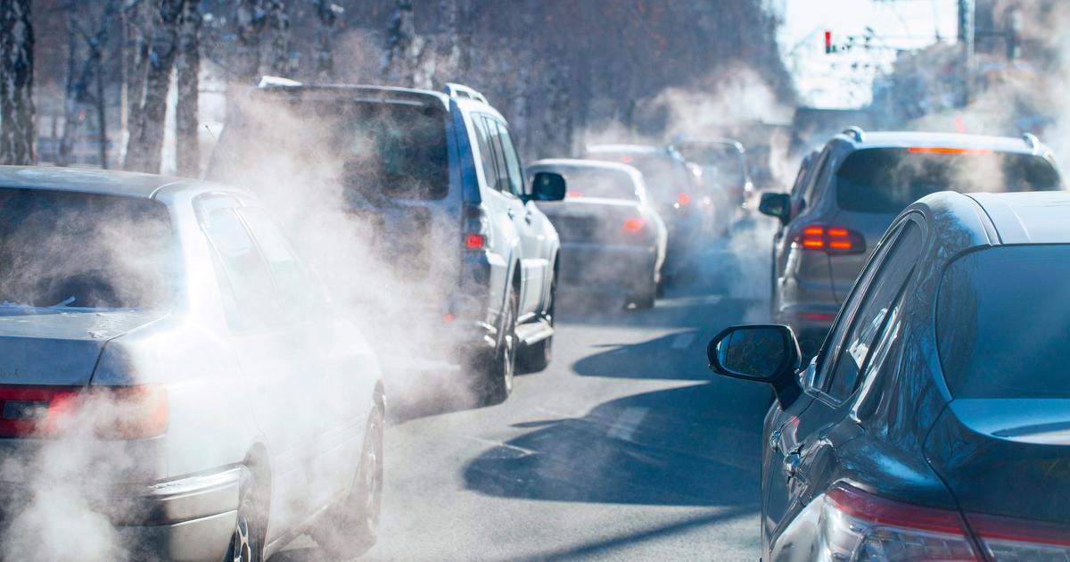 Stéphane Jamain : «La pollution de l’air favorise les troubles mentaux»