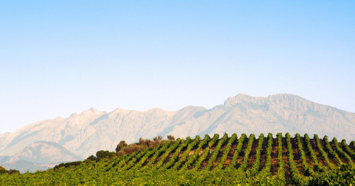 Corse, Loire, Languedoc... Ces 20 cuvées qui prouvent que la Provence na pas le monopole du vin rosé