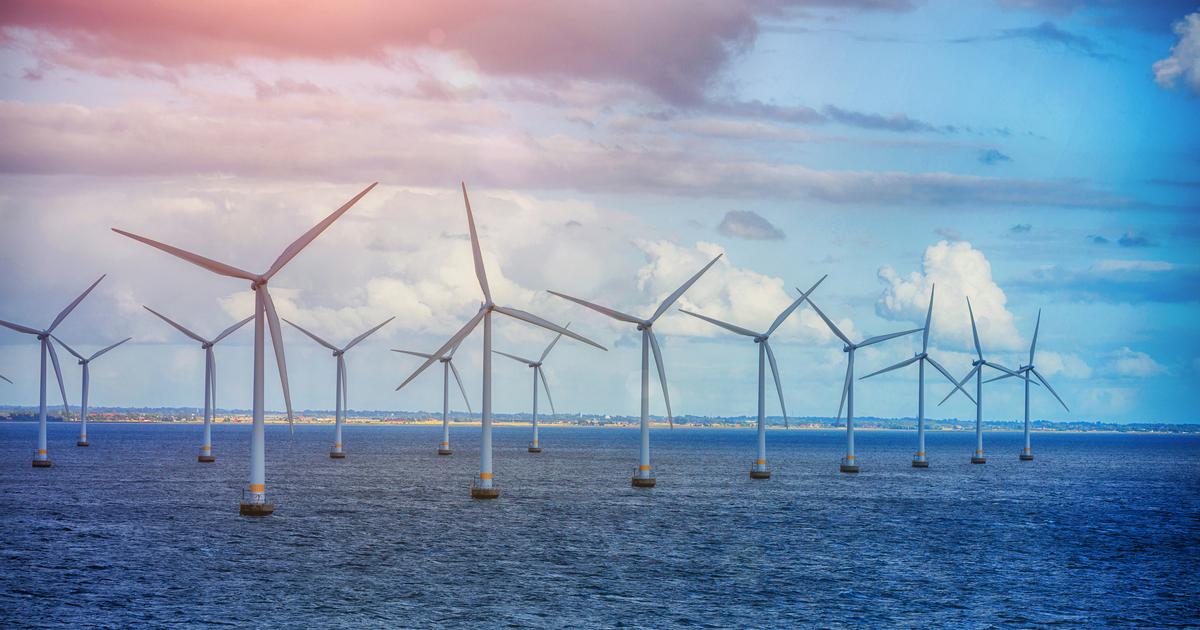 Risque de collision, bruit, effet récif... Les scientifiques français font le point sur les 10 pressions que fait peser l’éolien en mer sur la biodiversité